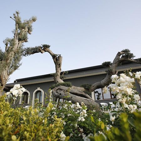 Terra Di Venera Villa Santa Venerina Bagian luar foto